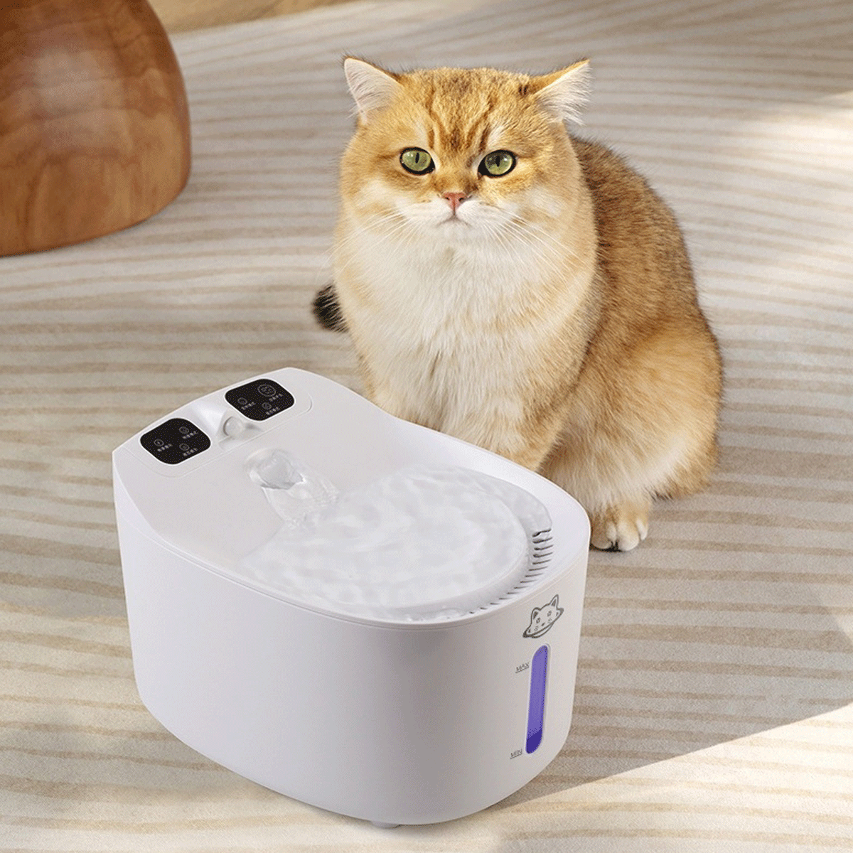 Pet Smart Water Fountain
