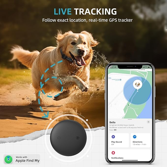 Car Pet Tracker, Dog GPS Collar