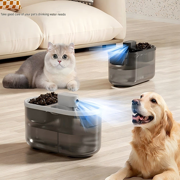 Pet Feeder and Water Fountain