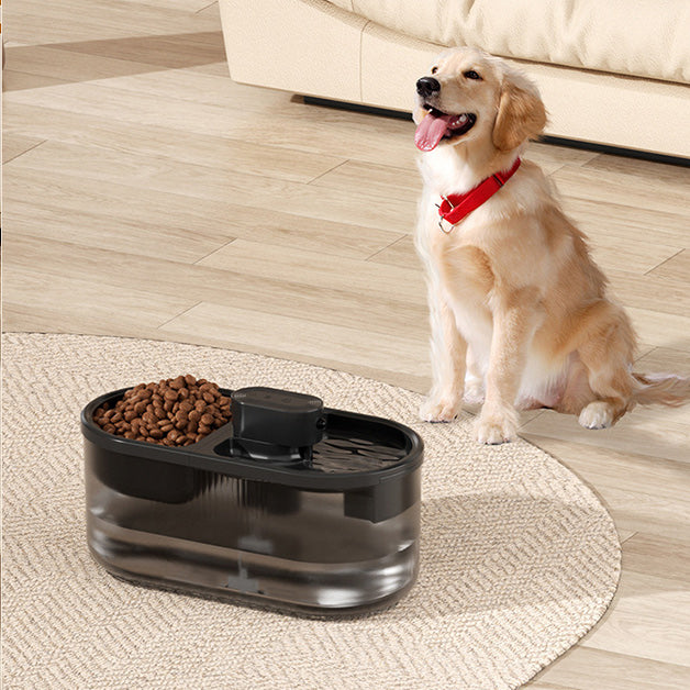 Pet Feeder and Water Fountain
