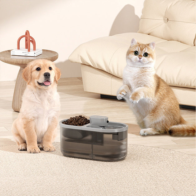 Pet Feeder and Water Fountain