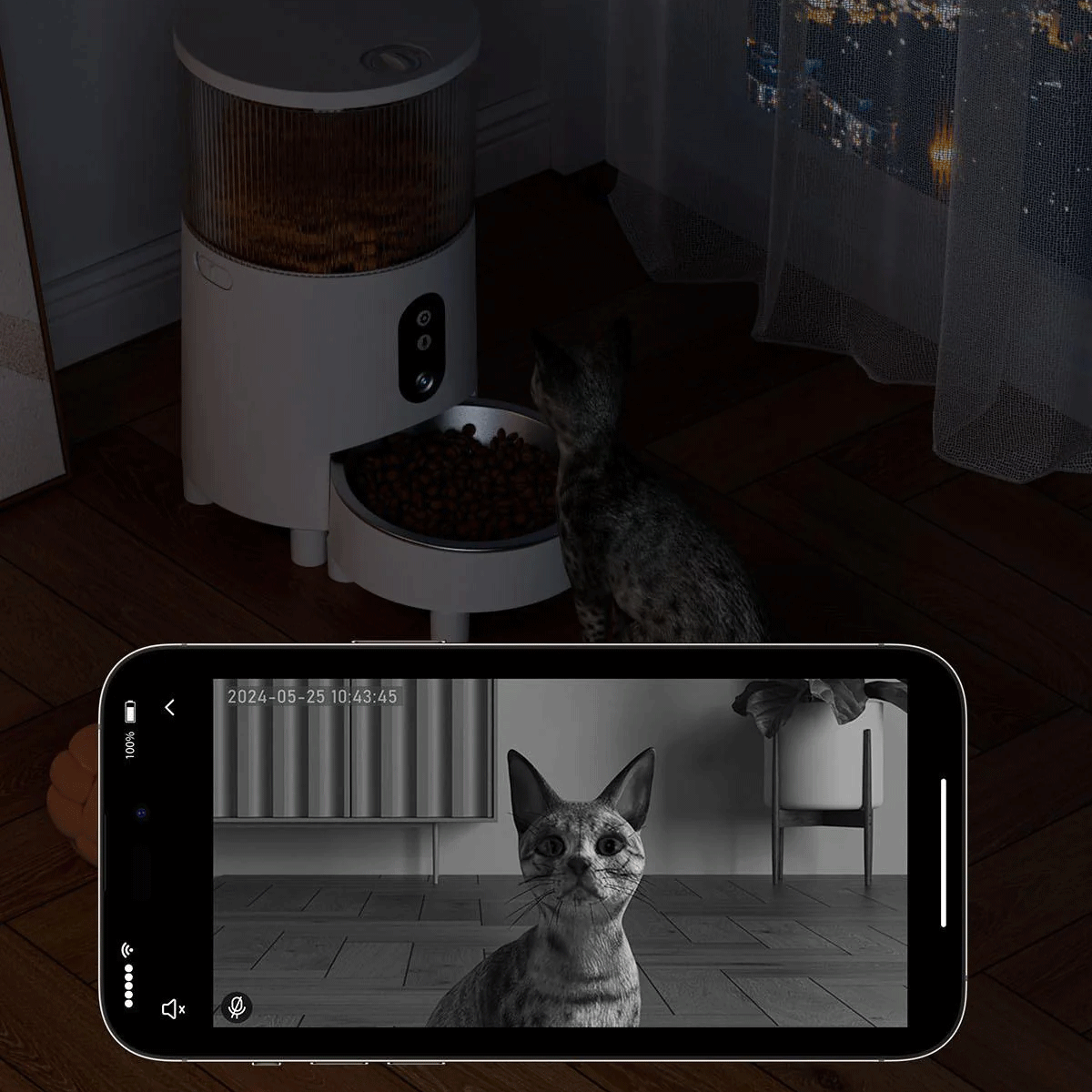 Smart Pet Feeder With Camera