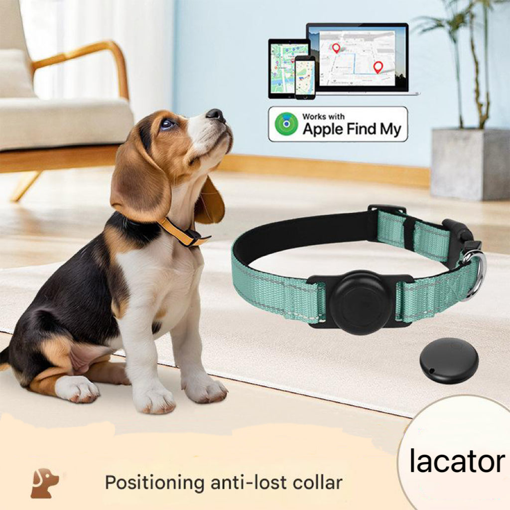 Car Pet Tracker, Dog GPS Collar