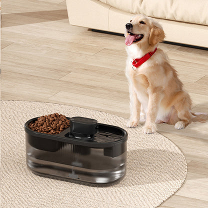 Pet Feeder and Water Fountain