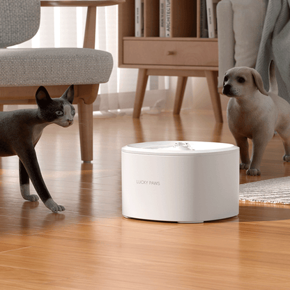 Automatic Cat Water Fountain
